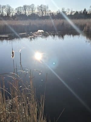 The Brickyard Trail At The Sandra Frankel Nature Park - Rochester, NY