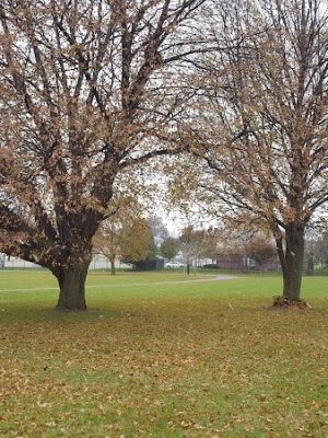 Troup Street Park