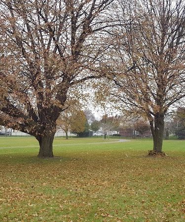 Troup Street Park