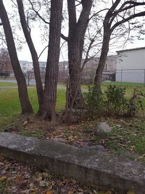 Troup Street Park