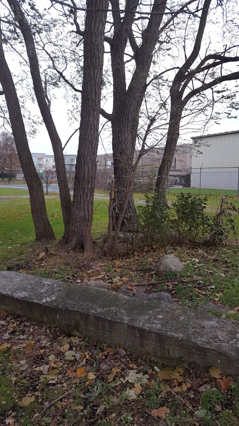 Troup Street Park - Rochester, NY