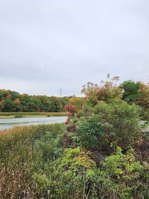 Turning Point Park