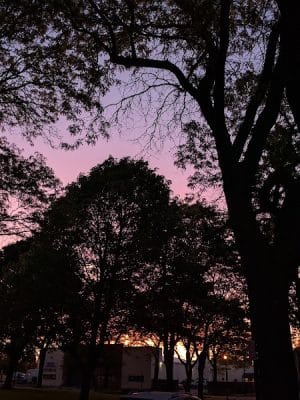 Wadsworth Square Park