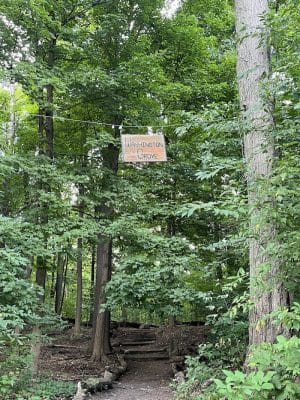 Washington Grove