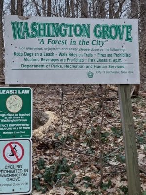 Washington Grove