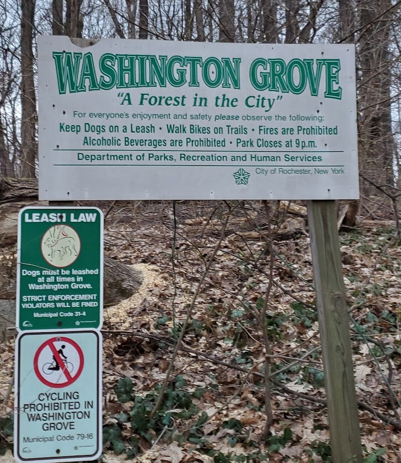 Washington Grove - Rochester, NY