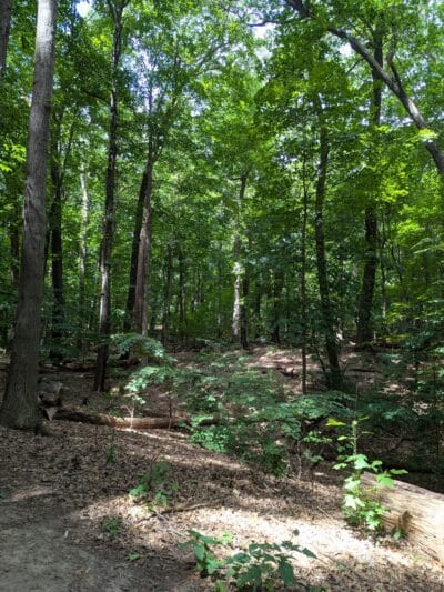 Washington Grove - Rochester, NY