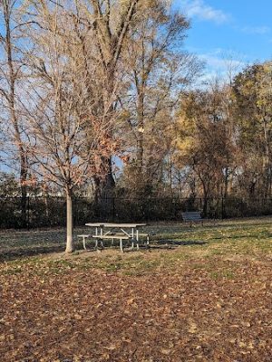 Eleanor Wallace Dog park