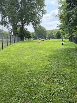 Eleanor Wallace Dog park