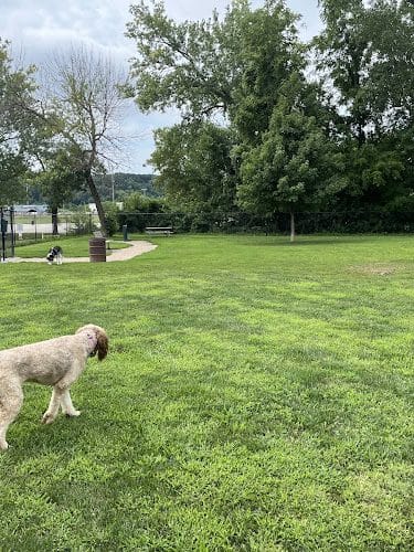 Eleanor Wallace Dog park