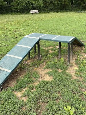 Eleanor Wallace Dog park