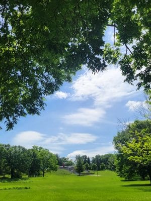 Longview Park