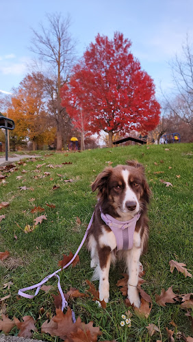 Longview Park