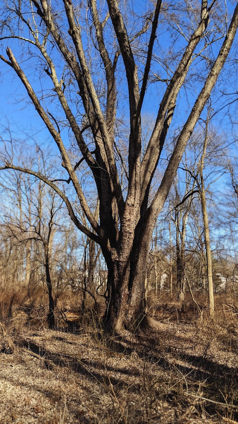 Donatoni Park - Rockaway, NJ