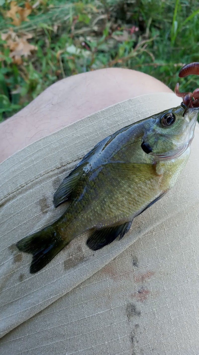 Foxs Lake Dam Park - Rockaway, NJ
