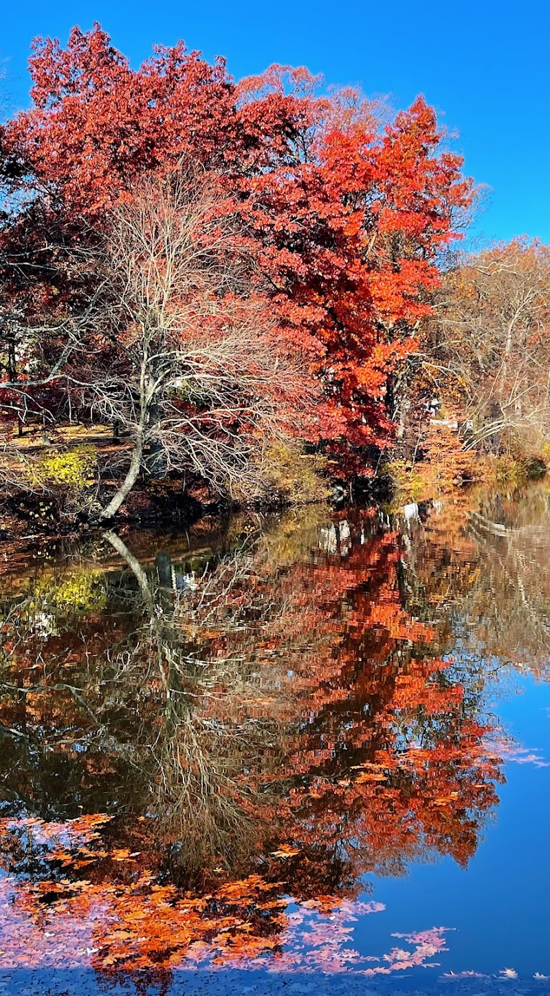 Foxs Lake Dam Park - Rockaway, NJ