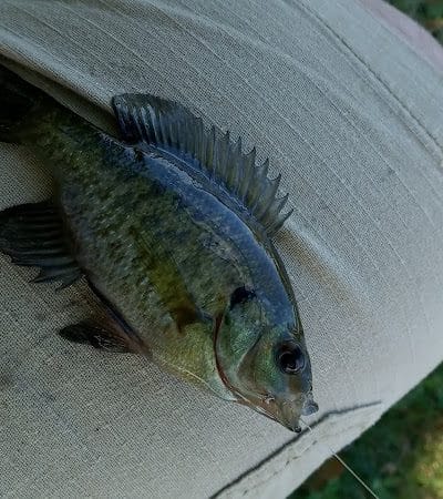 Foxs Lake Dam Park - Rockaway, NJ