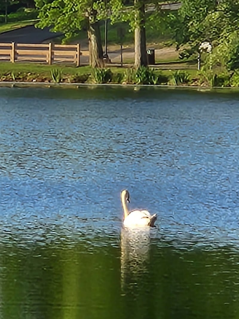 Parks Lake Gazebo - Rockaway, NJ