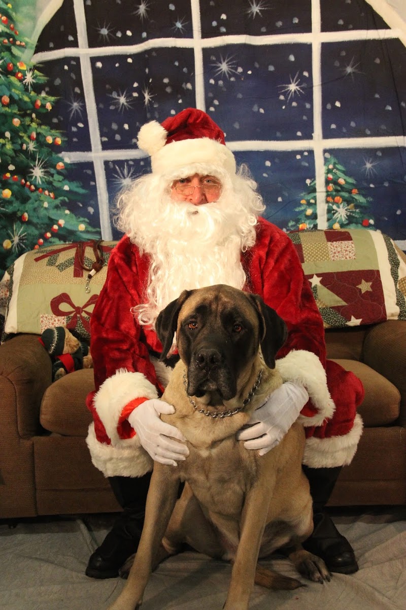 Paws-Itive Experience Pet Services - Rockaway, NJ