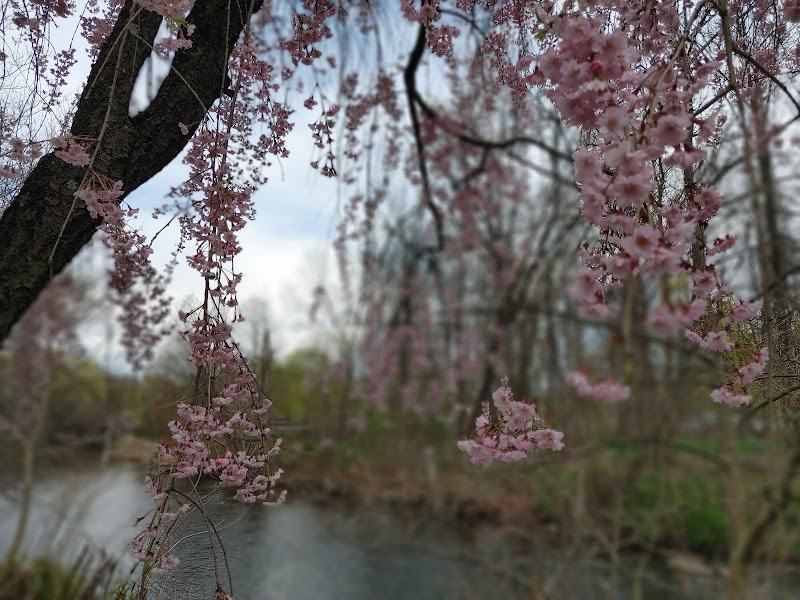 Rockaway Jackson Ave River Park - Rockaway, NJ