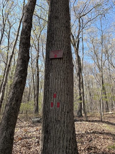 Hawk watch trailhead - Rockaway Township, NJ