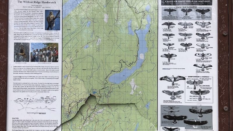Hawkwatch - Rockaway Township, NJ