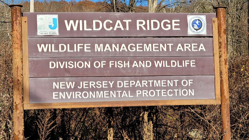 Hawkwatch - Rockaway Township, NJ