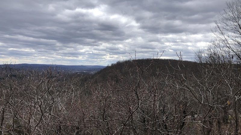 Hawkwatch - Rockaway Township, NJ