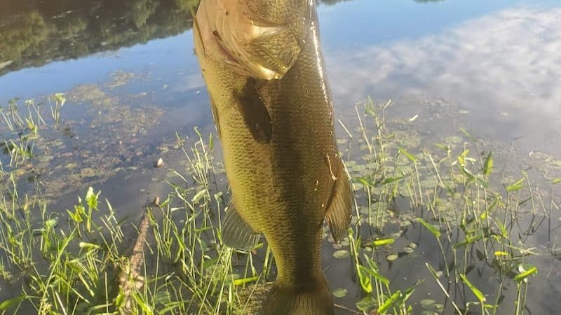 Lake Ames Park - Rockaway Township, NJ