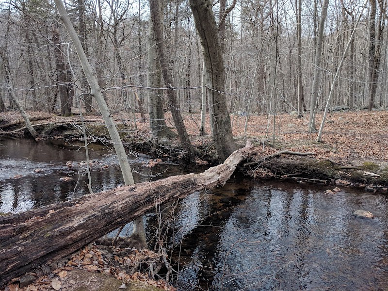 Lake Ames Park - Rockaway Township, NJ