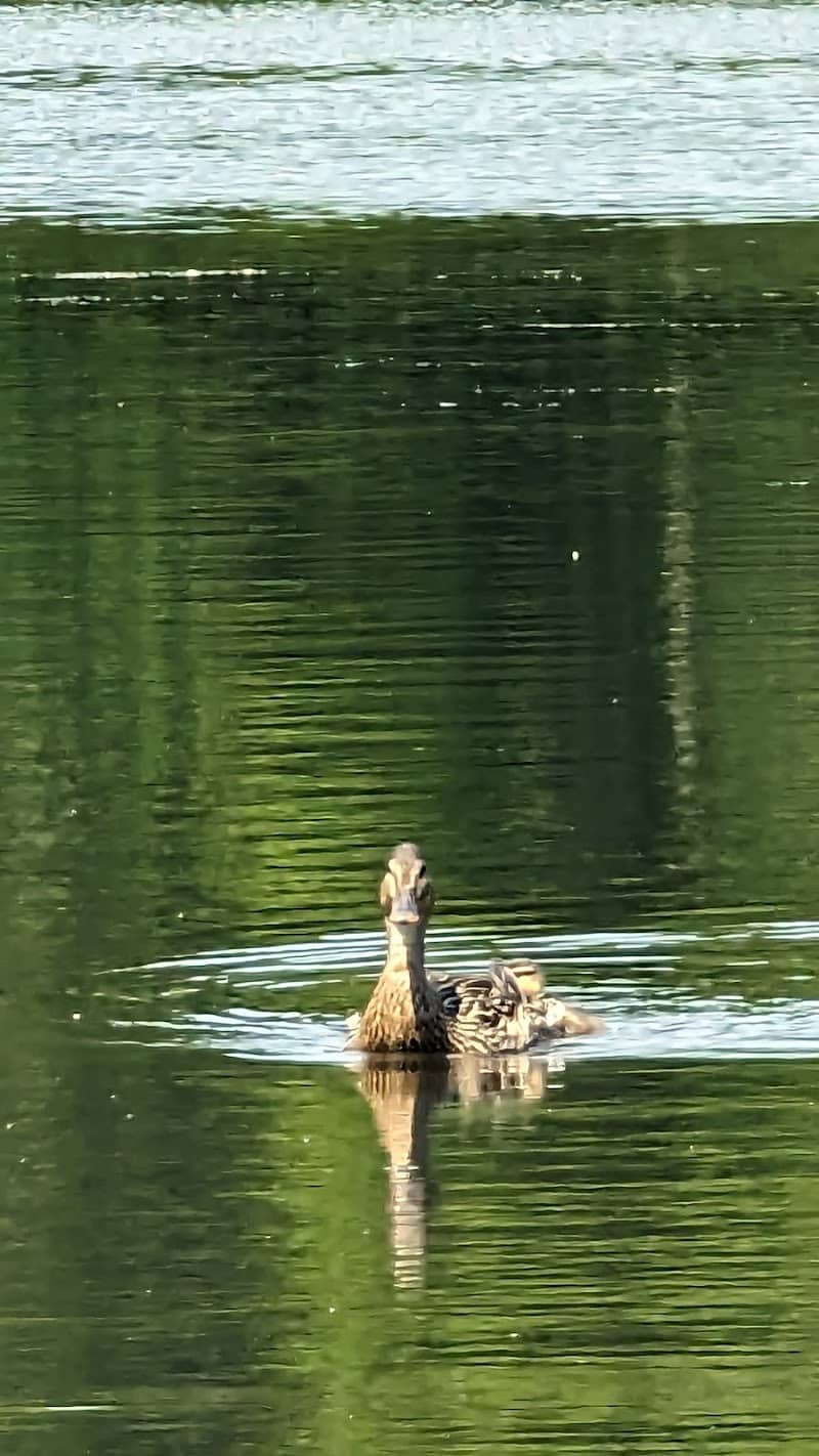Lake Ames Park - Rockaway Township, NJ