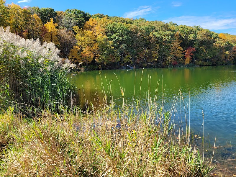 Mount Hope Pond Swimming Area - Rockaway Township, NJ