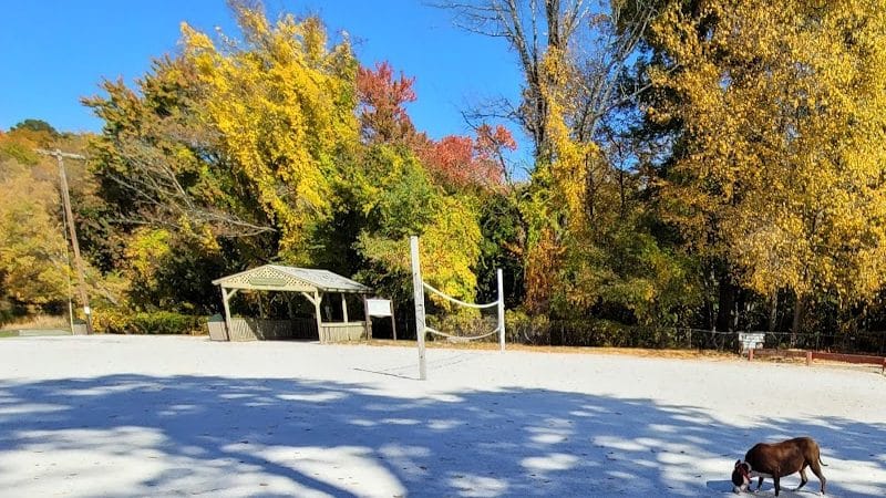 Mount Hope Pond Swimming Area - Rockaway Township, NJ