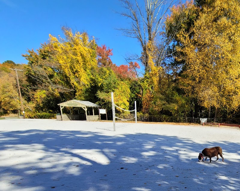 Mount Hope Pond Swimming Area - Rockaway Township, NJ