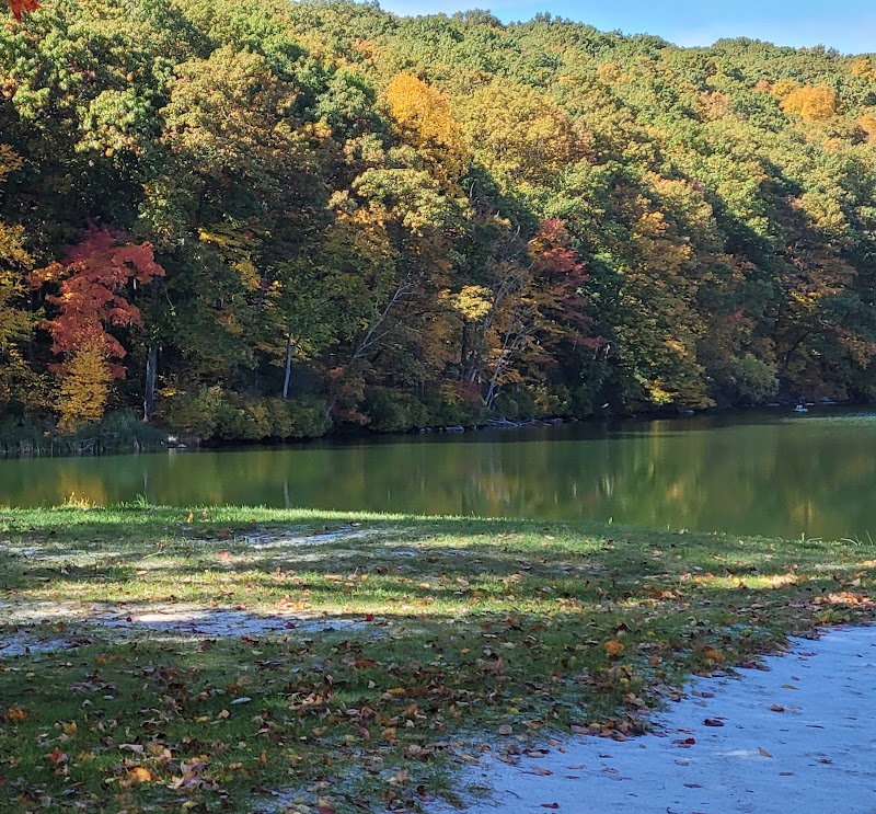 Mount Hope Pond Swimming Area - Rockaway Township, NJ