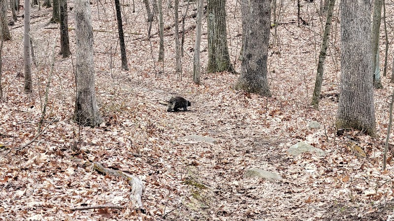 Wildcat Ridge - Rockaway Township, NJ