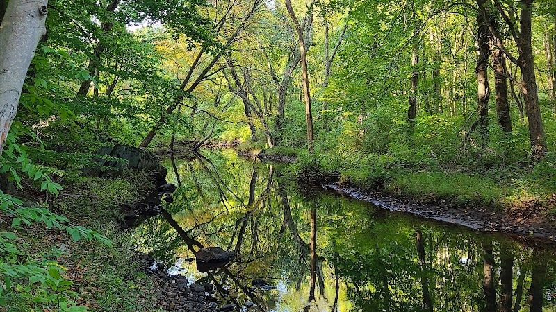 Wildcat Ridge - Rockaway Township, NJ