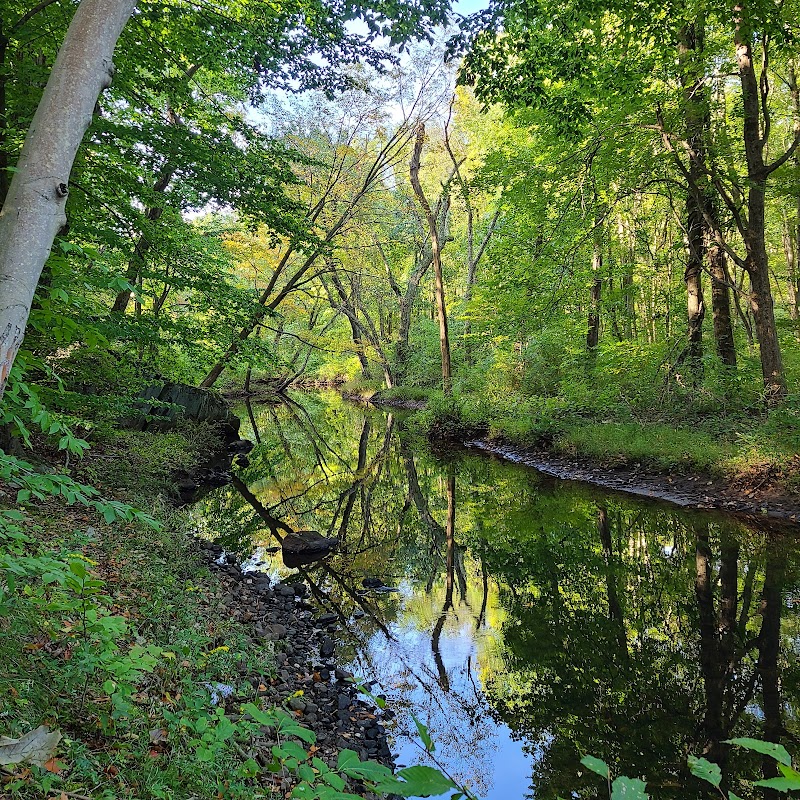 Wildcat Ridge - Rockaway Township, NJ
