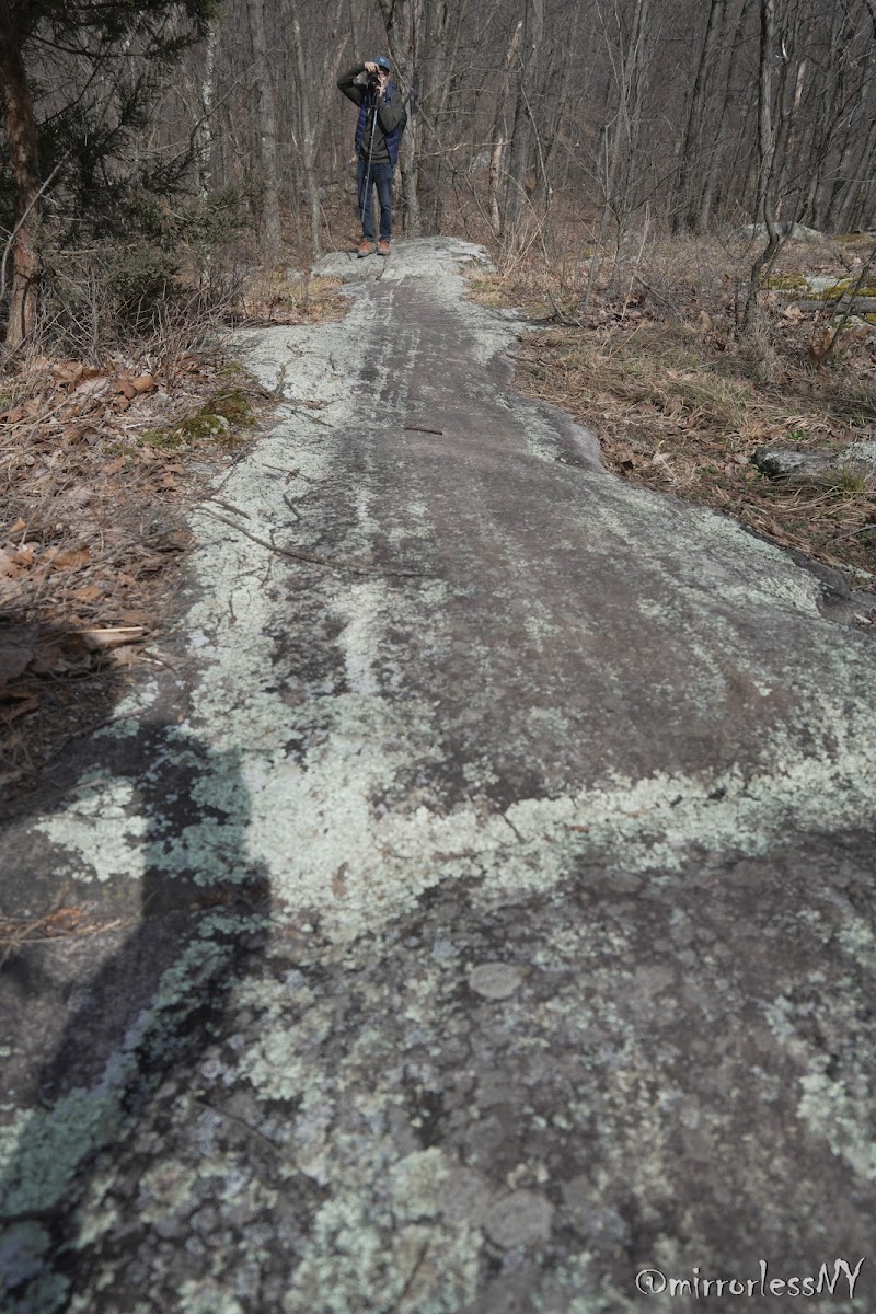 Wildcat Ridge - Rockaway Township, NJ