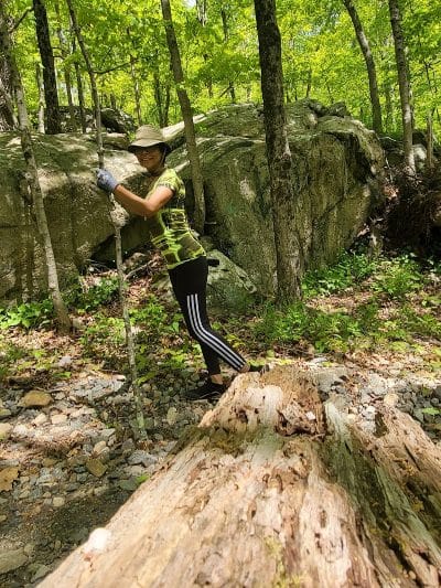 Wildcat Ridge - Rockaway Township, NJ