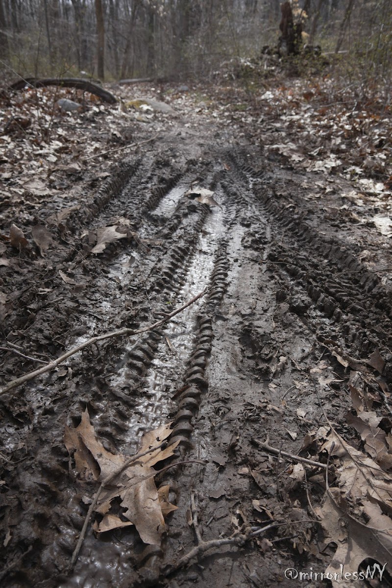 Wildcat Ridge - Rockaway Township, NJ