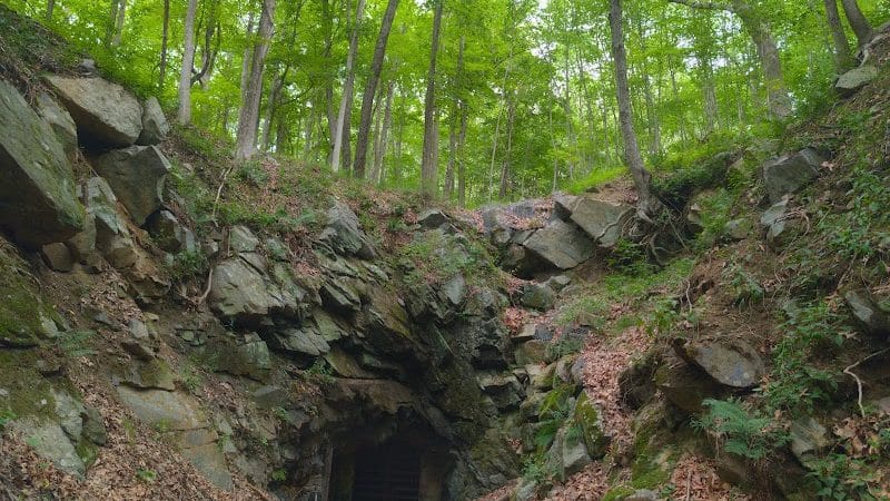 Wildcat Ridge - Rockaway Township, NJ