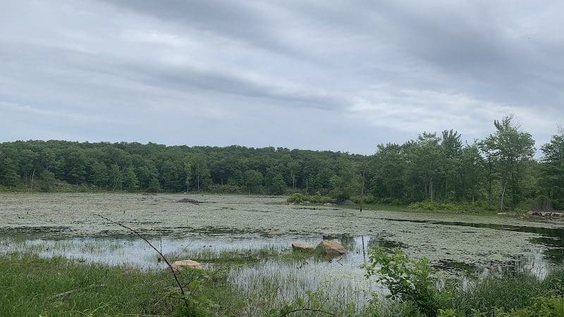 Wildcat Trailhead - Rockaway Township, NJ