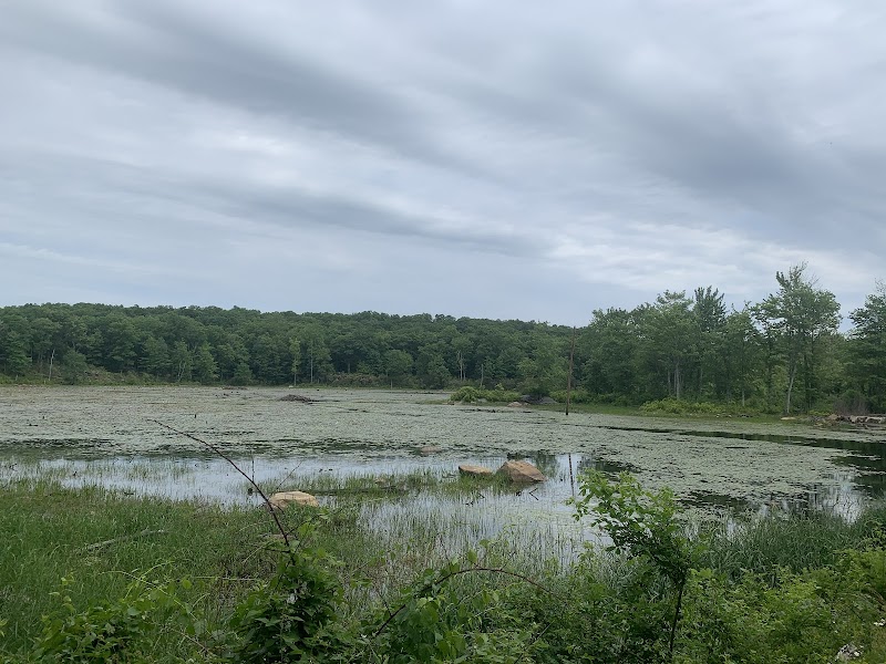Wildcat Trailhead - Rockaway Township, NJ