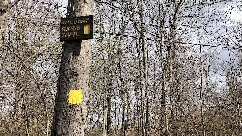 Wildcat Trailhead - Rockaway Township, NJ