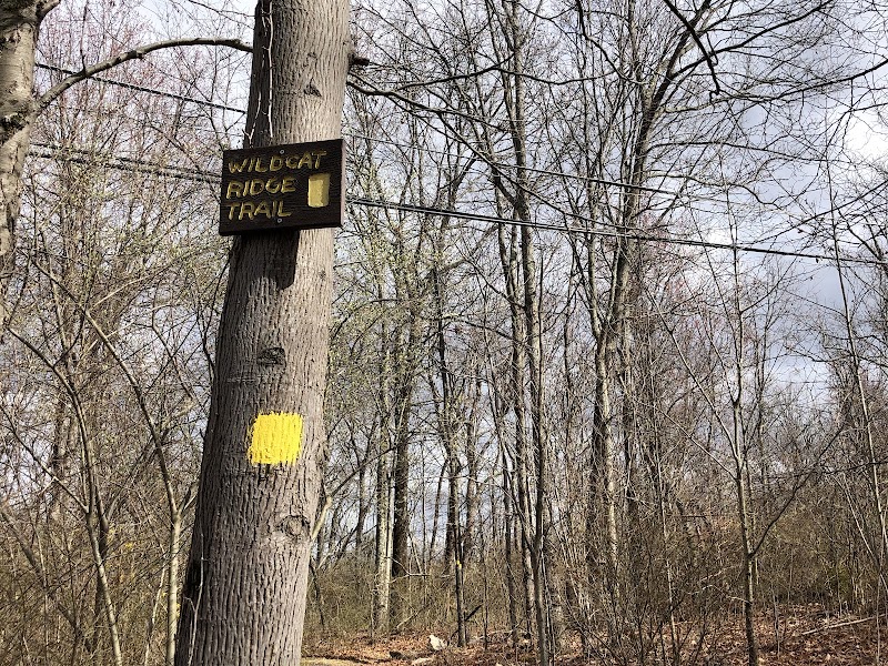 Wildcat Trailhead - Rockaway Township, NJ