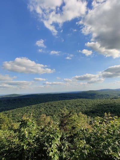 Wildcat Trailhead - Rockaway Township, NJ