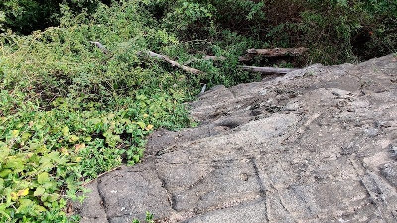 Wildcat Trailhead - Rockaway Township, NJ