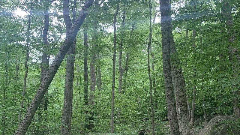 Wildcat Trailhead - Rockaway Township, NJ