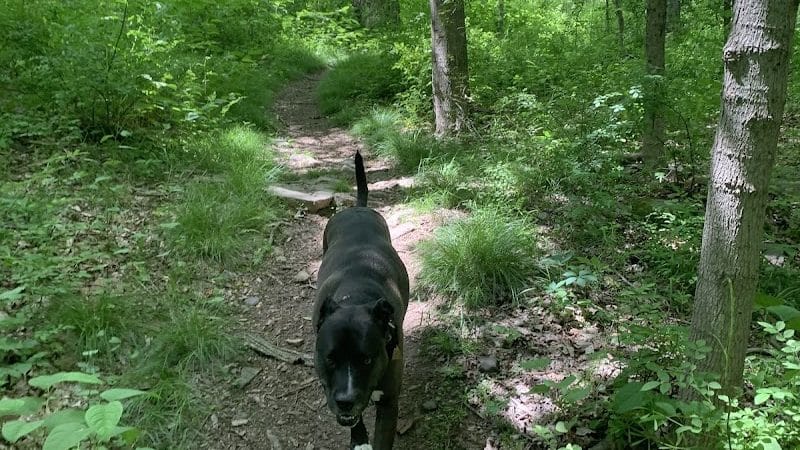 Wildcat Trailhead - Rockaway Township, NJ